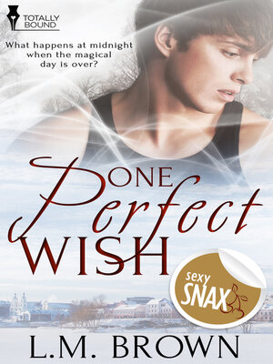 cover image of One Perfect Wish
